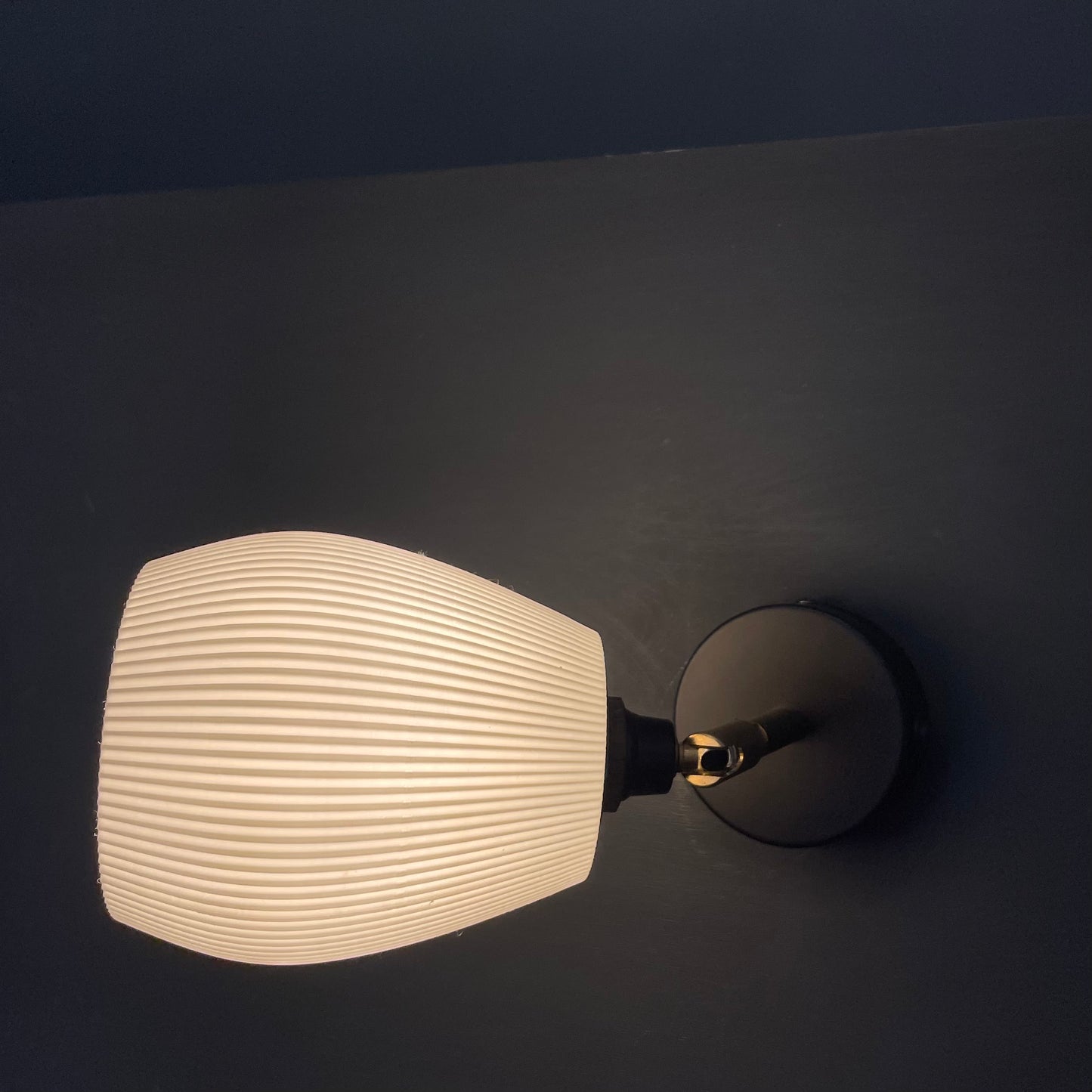 Rib Anemone Wall Lamp