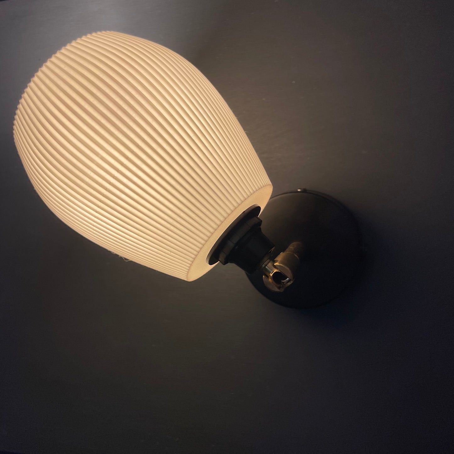 Rib Anemone Wall Lamp