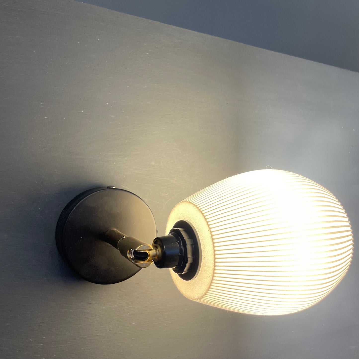 Rib Anemone Wall Lamp