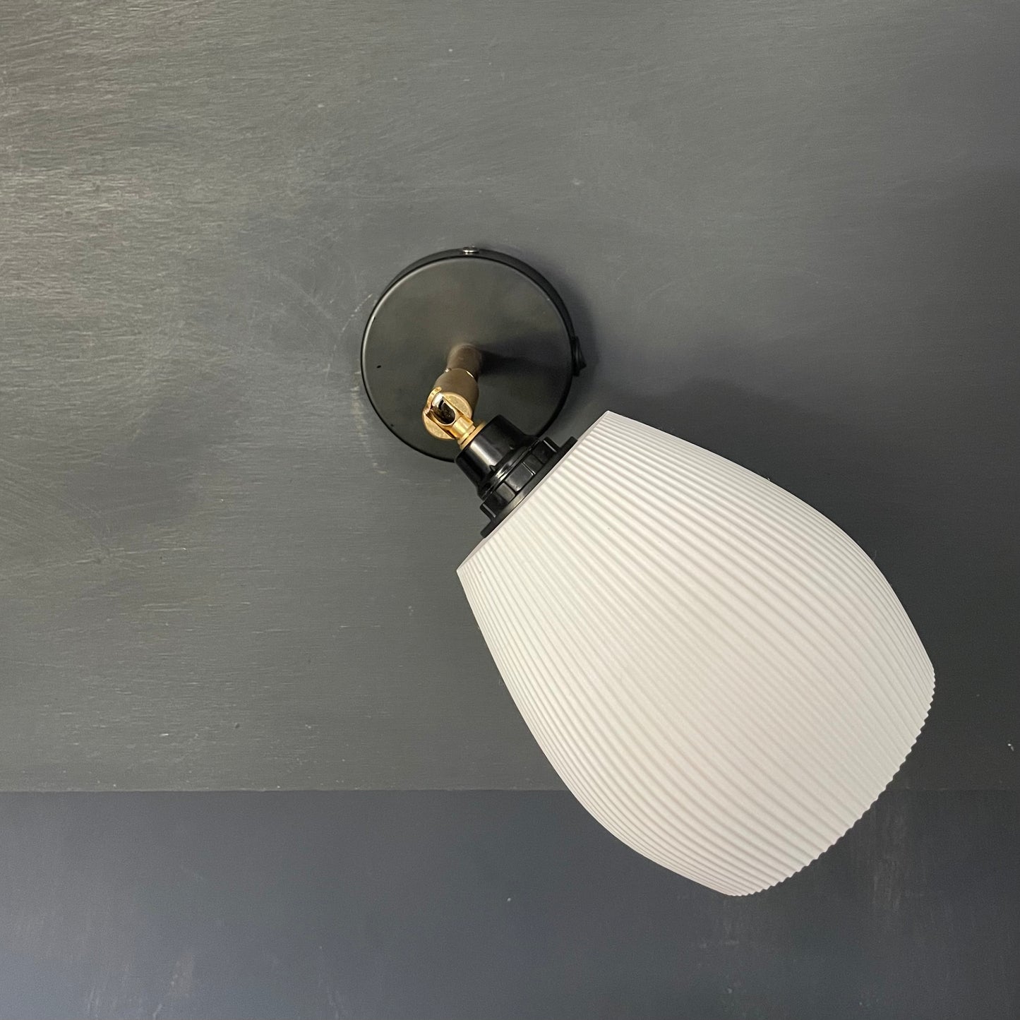 Rib Anemone Wall Lamp